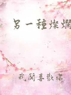 另一种灿烂生活