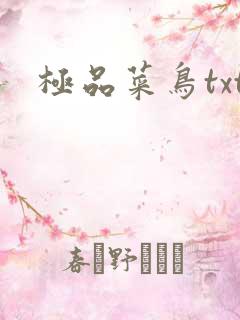 极品菜鸟txt