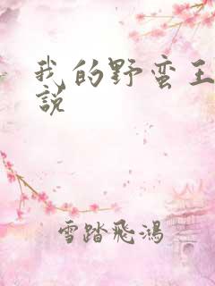 我的野蛮王妃小说