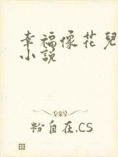 幸福像花儿一样小说