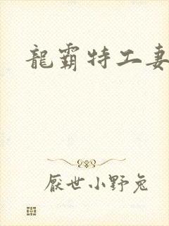 龙霸特工妻