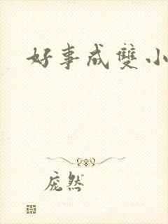 好事成双小说