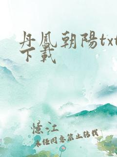 丹凤朝阳txt下载