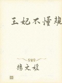 王妃不懂规矩