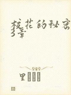 校花的秘密第23章