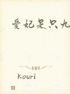 爱妃是只九尾猫