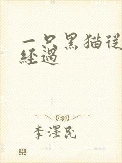一只黑猫从眼前经过