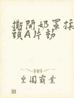 撕开奶罩揉吮奶头A片动