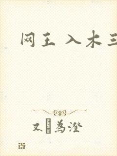 网王 入木三分