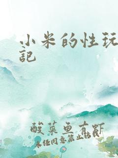 小米的性玩具日记