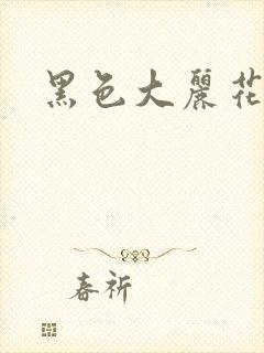 黑色大丽花图片