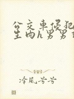 公交车侵犯小男生肉h男男视频