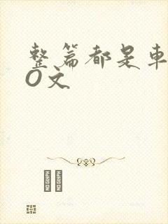 整篇都是车的PO文