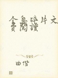 全息碎片文轩免费阅读