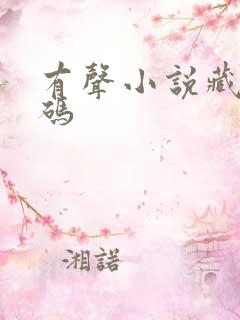 有声小说藏地密码