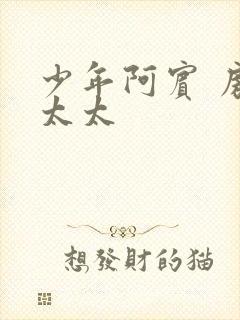 少年阿宾 房东太太