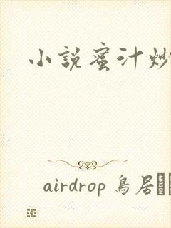 小说蜜汁炒鱿鱼