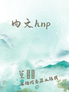 肉文hnp