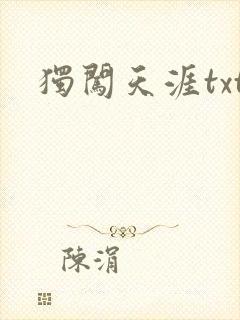 独闯天涯txt
