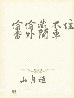 偷偷藏不住婚后番外开车