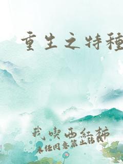 重生之特种女兵