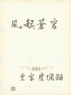 风起苍穹