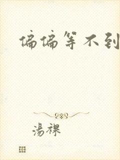 偏偏等不到小说