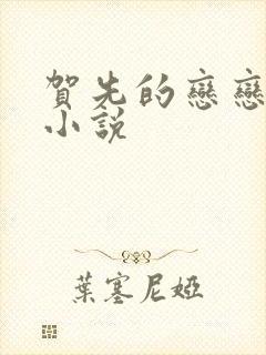 贺先的恋恋不忘小说