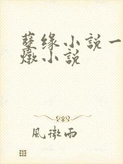 孽缘小说一家乱炖小说