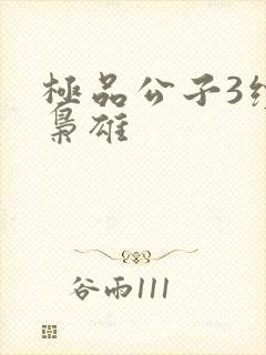 极品公子3续世枭雄