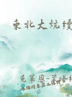 东北大炕续