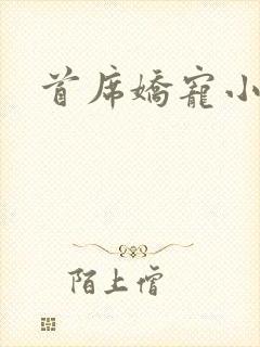 首席娇宠小情人