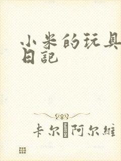 小米的玩具羞辱日记