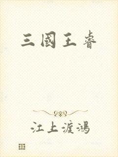 三国王睿
