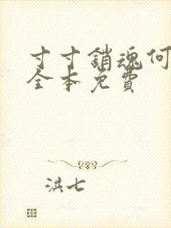 寸寸销魂何生祥全本免费