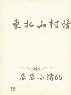 东北山村情事