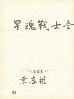 星魂战士全集