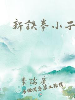 新铁拳小子