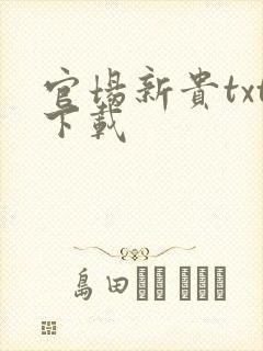 官场新贵txt下载