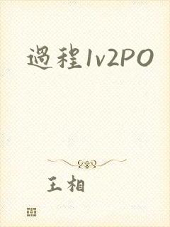 过程1v2PO