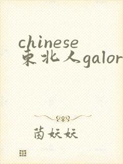 chinese东北人galore