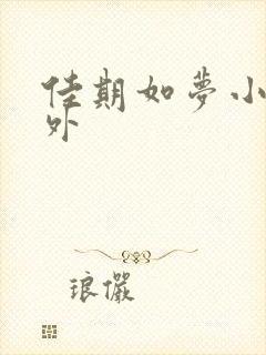 佳期如梦小说番外