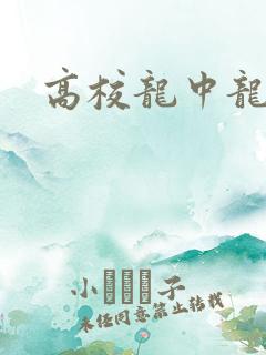 高校龙中龙全集