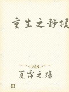 重生之静候锦年