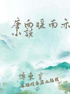 唐向暖南亦琛的小说