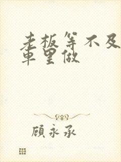 老板等不及了在车里做