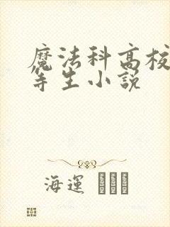 魔法科高校的劣等生小说