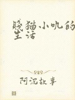 贱猫小叽的幸福生活