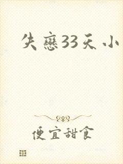 失恋33天小说