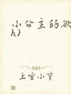 小公主的欲奴(h)